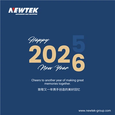 NEWTEK গ্রুপ 2026 নববর্ষের দিনের ঠিকানা: ঘোড়ার বছরে গ্যাস সমাধানের অগ্রগতি